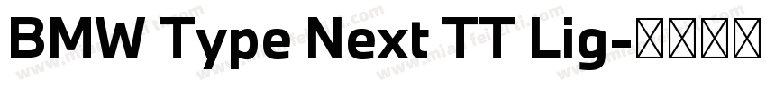 BMW Type Next TT Lig字体转换